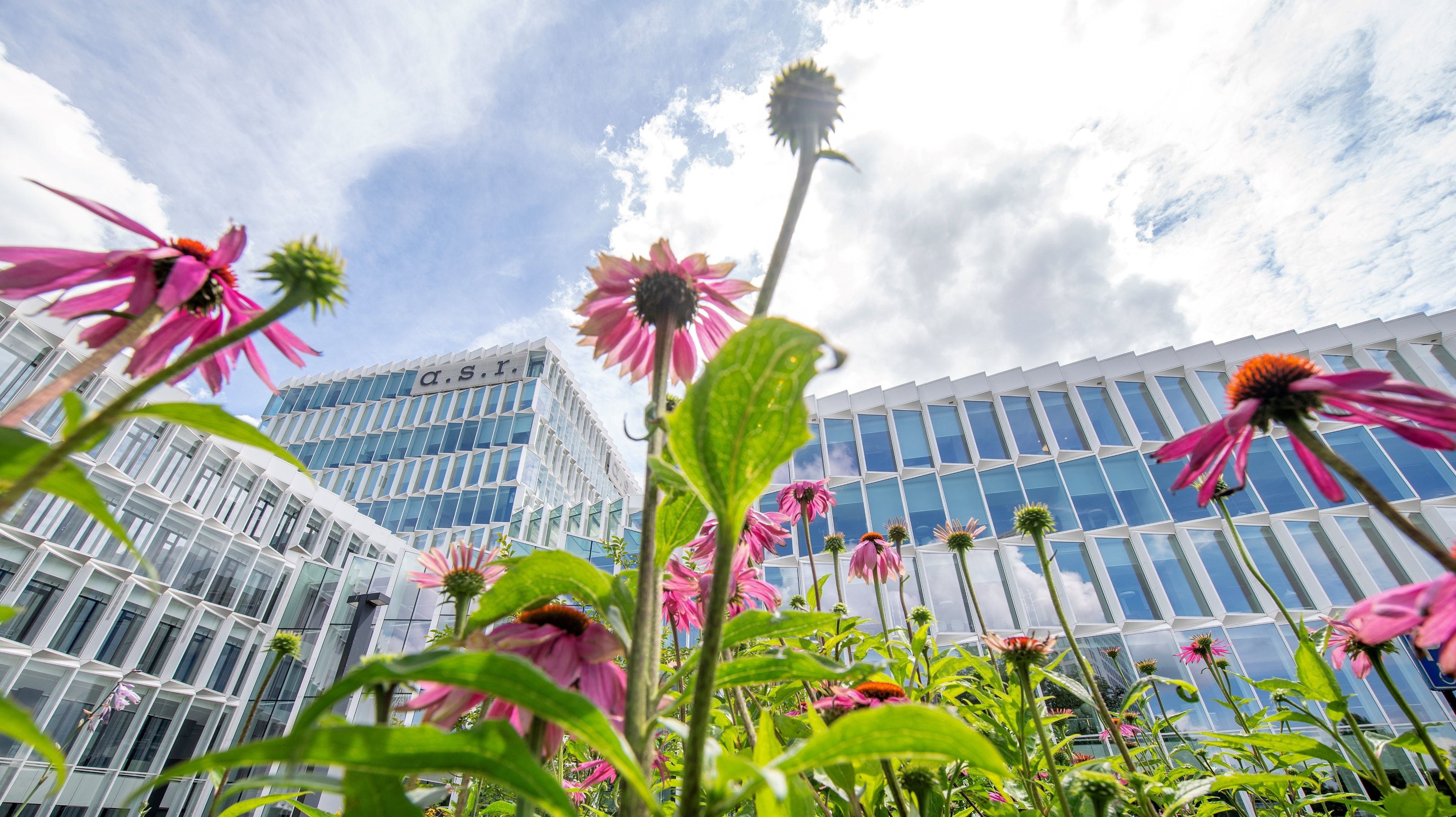 a.s.r. building with flowers in front